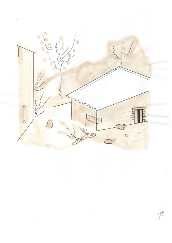 Maison